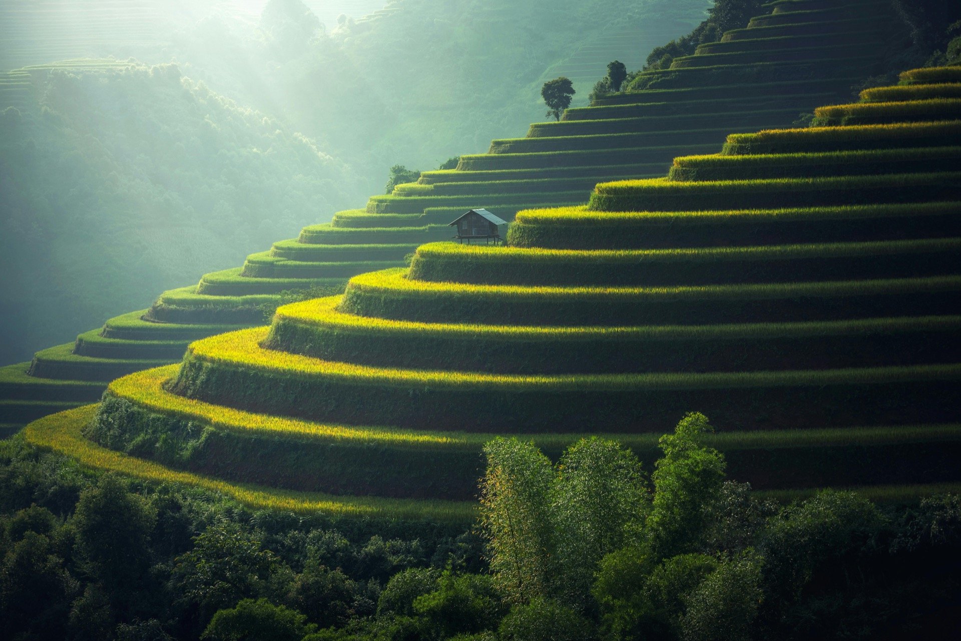 Biochar Treatment and its Effects on Rice and Vegetable Yields in Mountainous Areas of Northern Vietnam