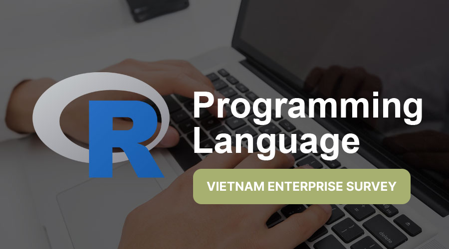 [R ỨNG DỤNG] Xử lý và Phân tích Bộ dữ liệu Điều tra Doanh nghiệp Việt Nam