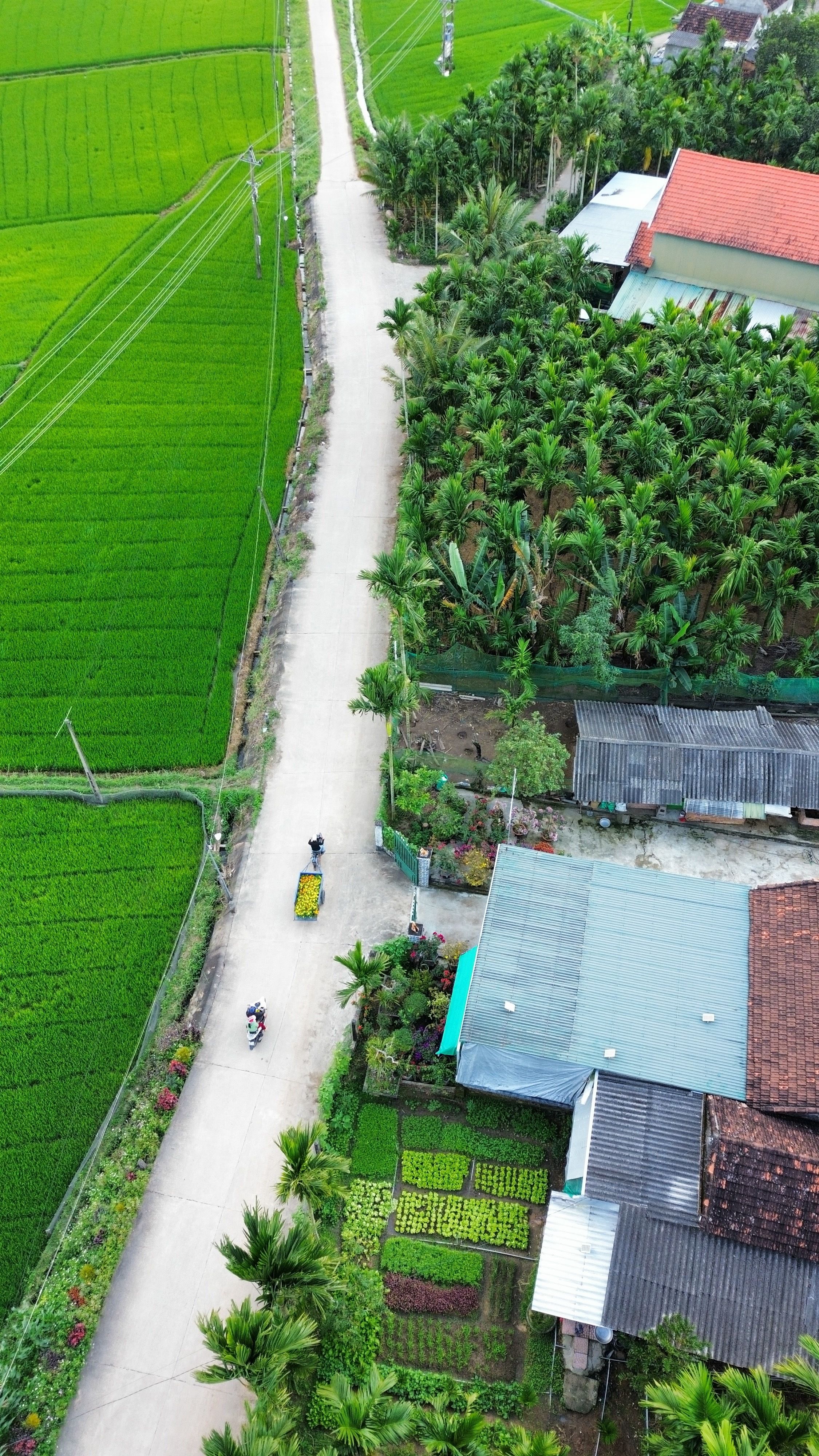 Nghiên cứu đánh giá thực trạng, đề xuất giải pháp nâng cao đóng góp của hoạt động khoa học, công nghệ và đổi mới sáng tạo đối với tăng trưởng kinh tế tỉnh Hà Nam preview