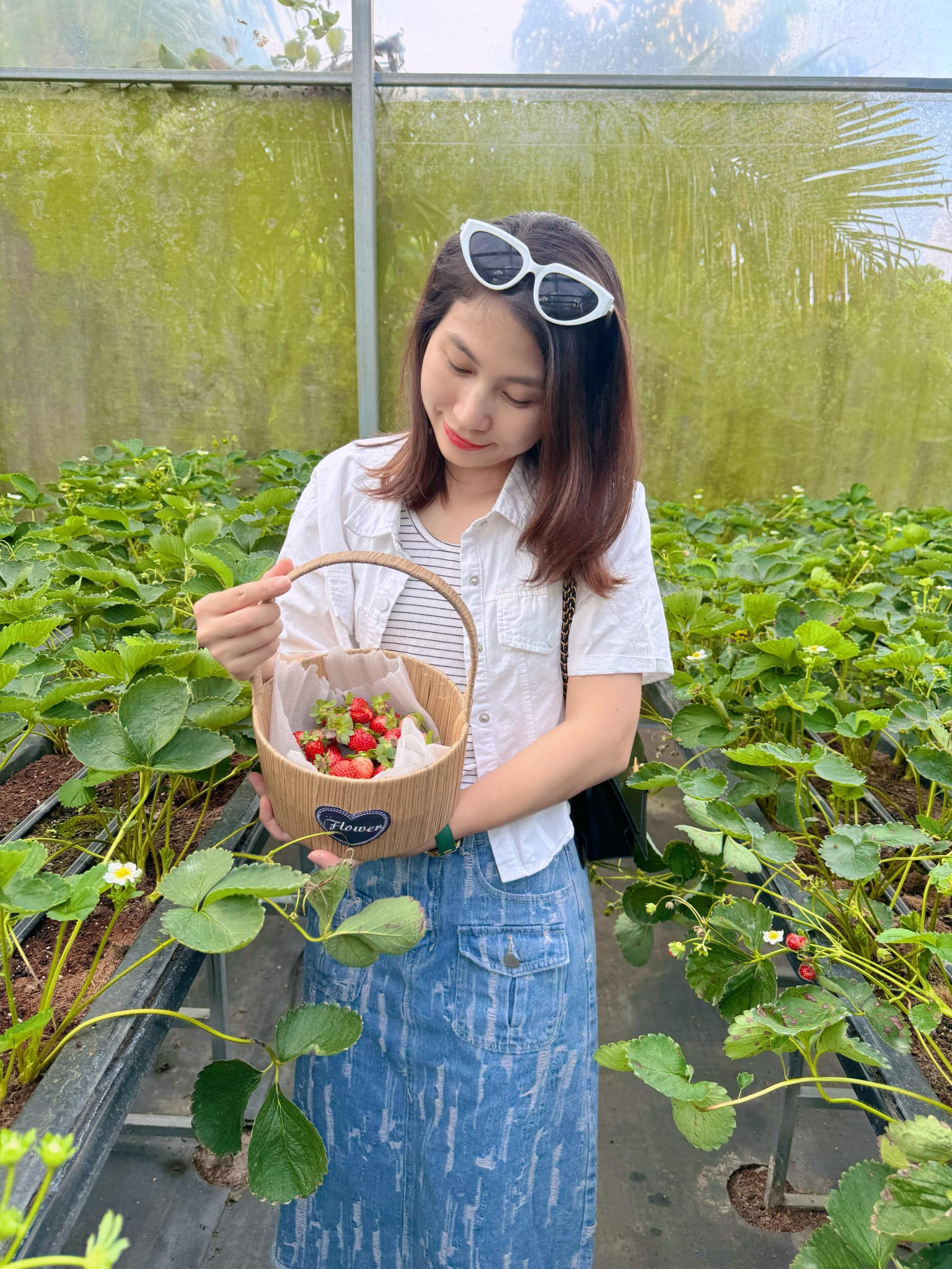 ThS. Khúc Thị Hà